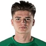 Portrett av Matija Šarkić
