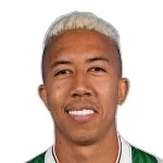 Portrett av Matheus Bonifácio Saldanha Marinho