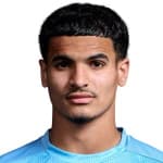 Portrett av Hamza Shibli