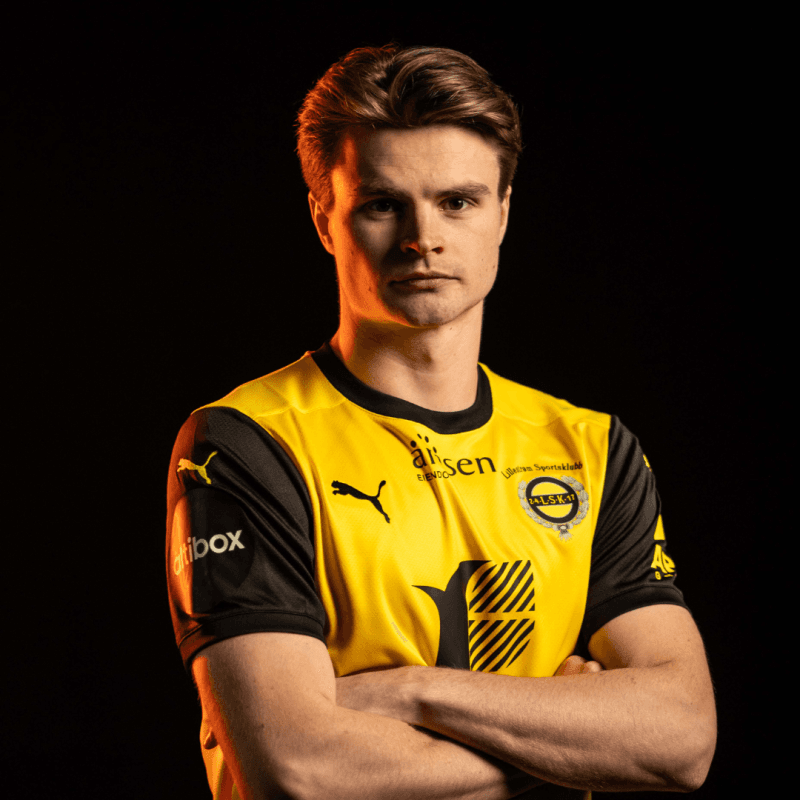 Portrett av Sturla Ottesen